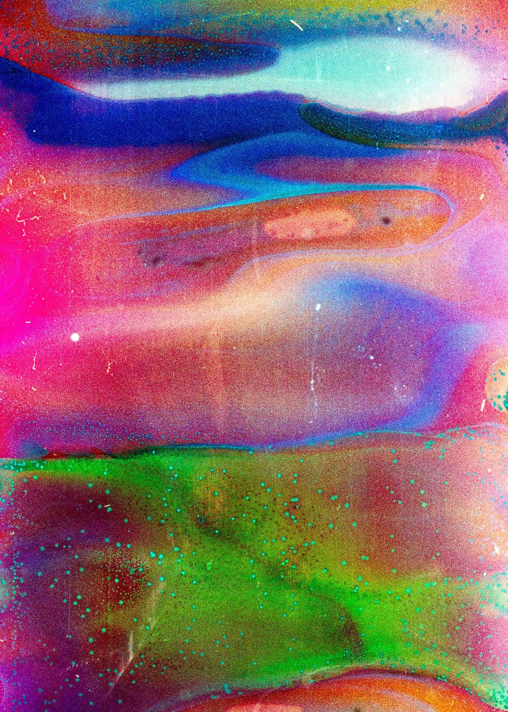 Expo Blush: Daura&nbsp;Campos