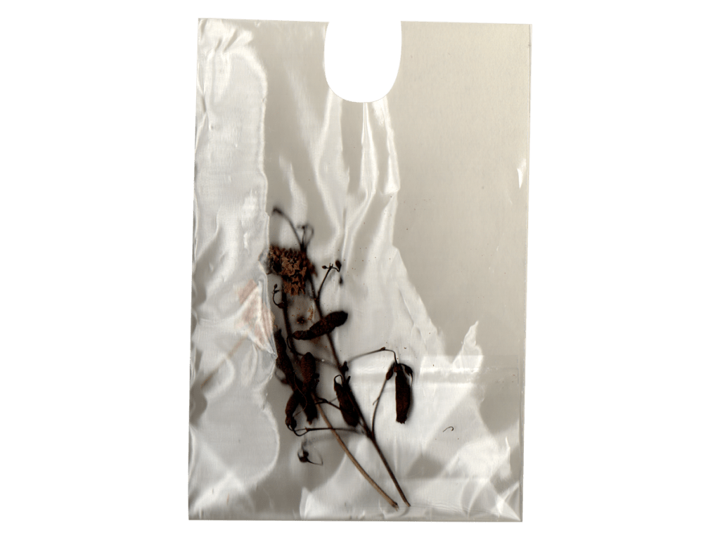 declaração sobre os tesourinhos livres (free treasure)