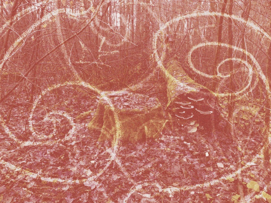 The Remembering Self Versus The Experiencing&nbsp;Self