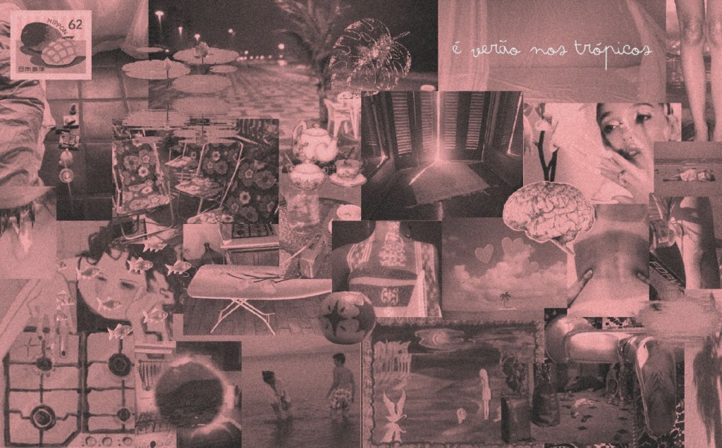 É verão nos&nbsp;trópicos.