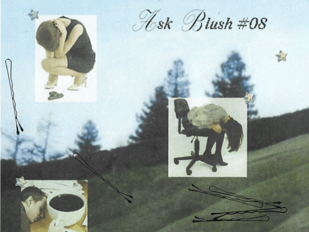 ask blush #08