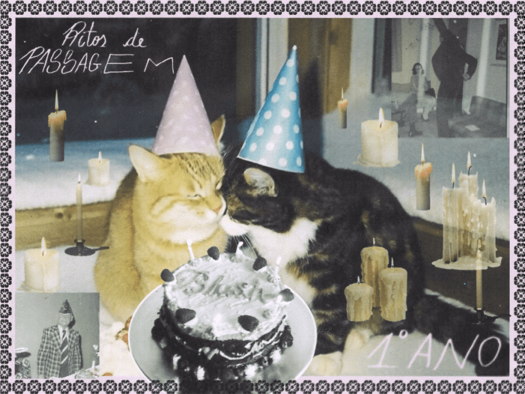 tema de abril + aniversário da&nbsp;blush