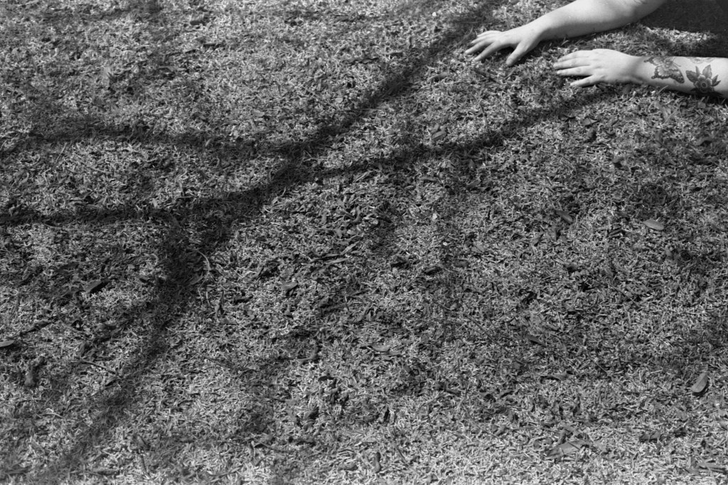 expo blush collab:&nbsp;entreolhos